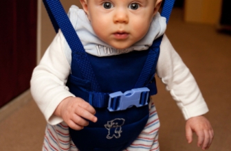 10 Best Baby Jumper 2020